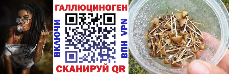 Псилоцибиновые грибы MAGIC MUSHROOMS  купить закладку  Боровск 